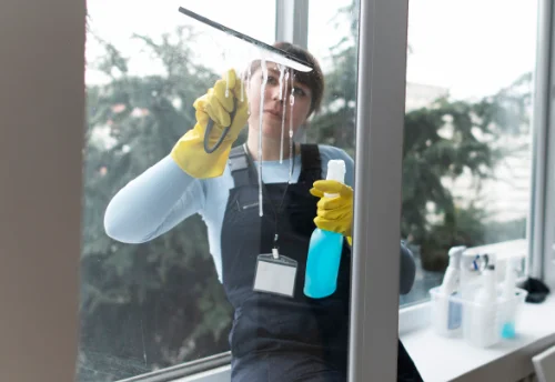 Nettoyage de vitres intérieures et extérieures à Hinx